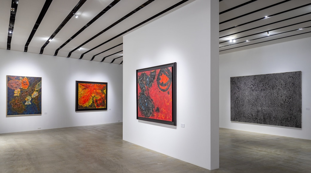 Karuizawa New Art Museum which includes art and interior views