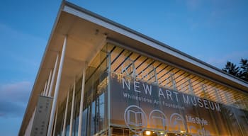 Karuizawa New Art Museum showing night scenes and signage