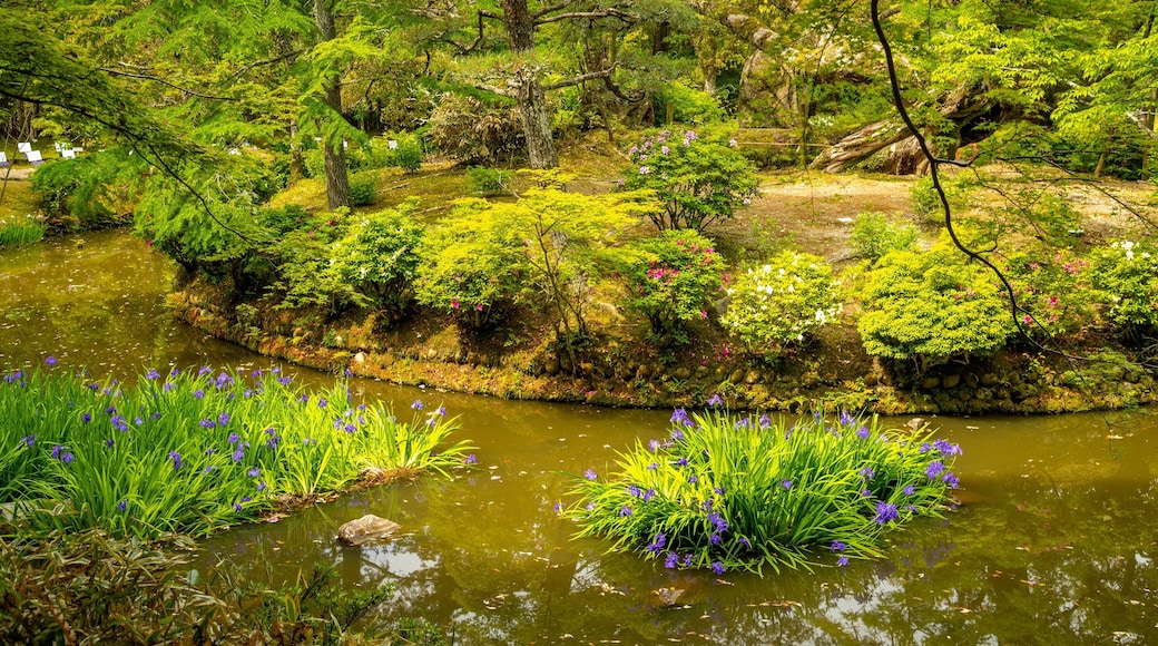 Manyo Botanical Garden showing wildflowers, a garden and a river or creek