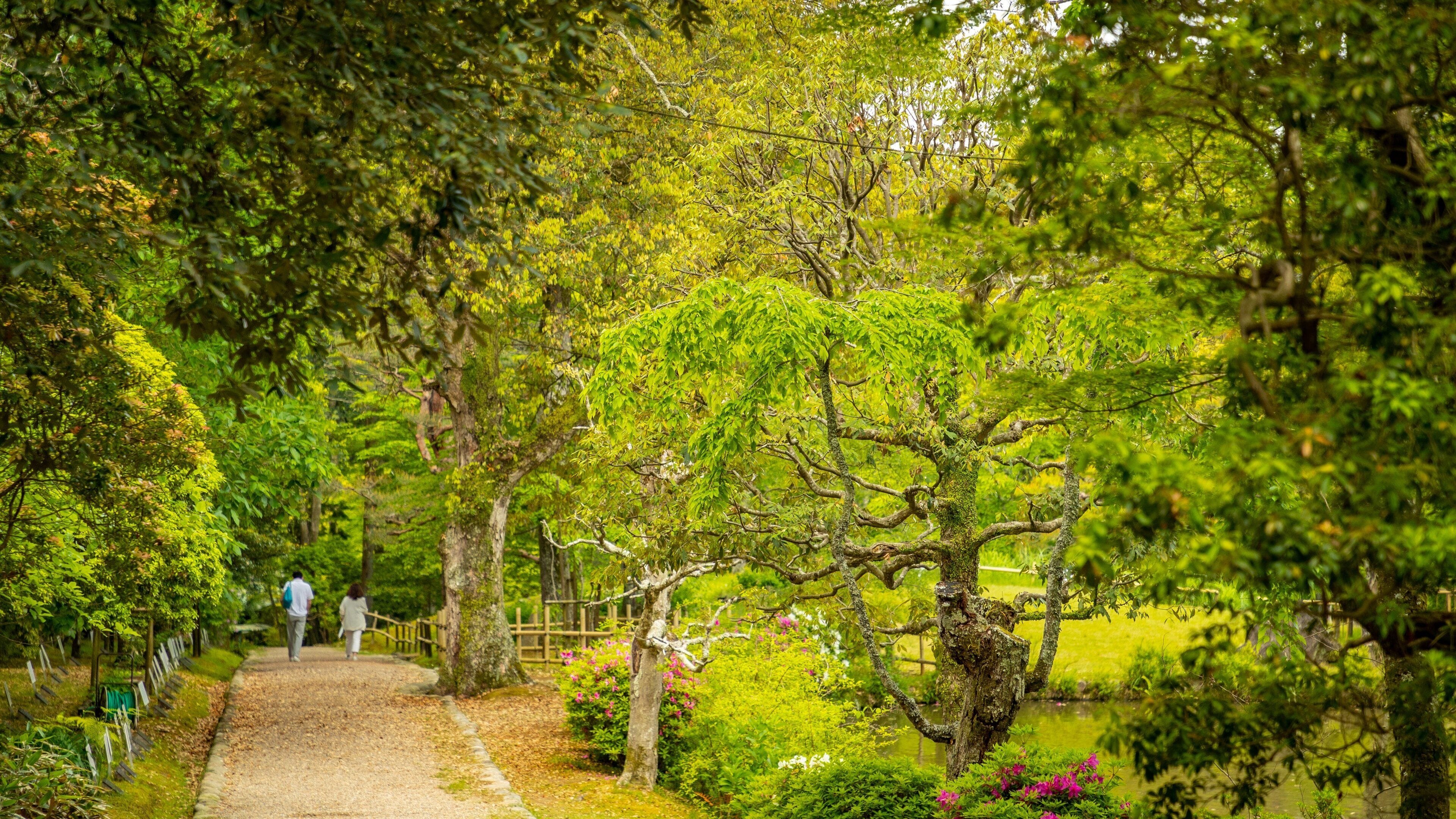 Manyo Botanical Garden which includes a garden as well as a couple