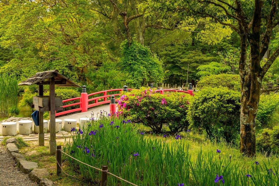 Un giardino tranquillo con un ponte rosso, vegetazione rigogliosa e fiori viola.