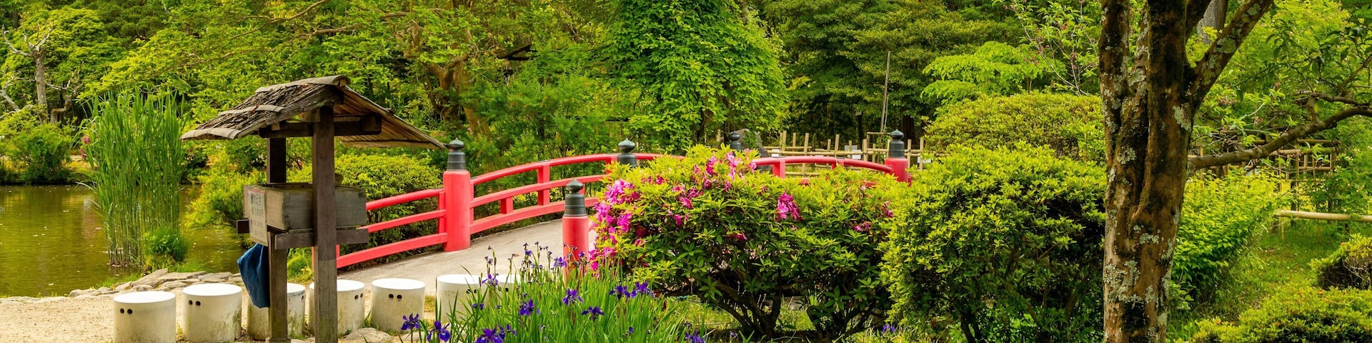 Manyo Botanical Garden which includes a park, wildflowers and a bridge