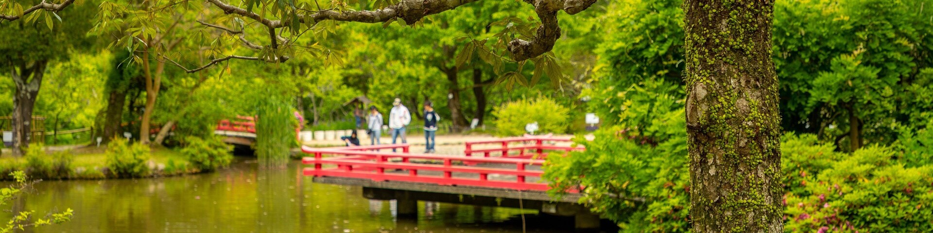 Manyo Botanical Garden showing a pond