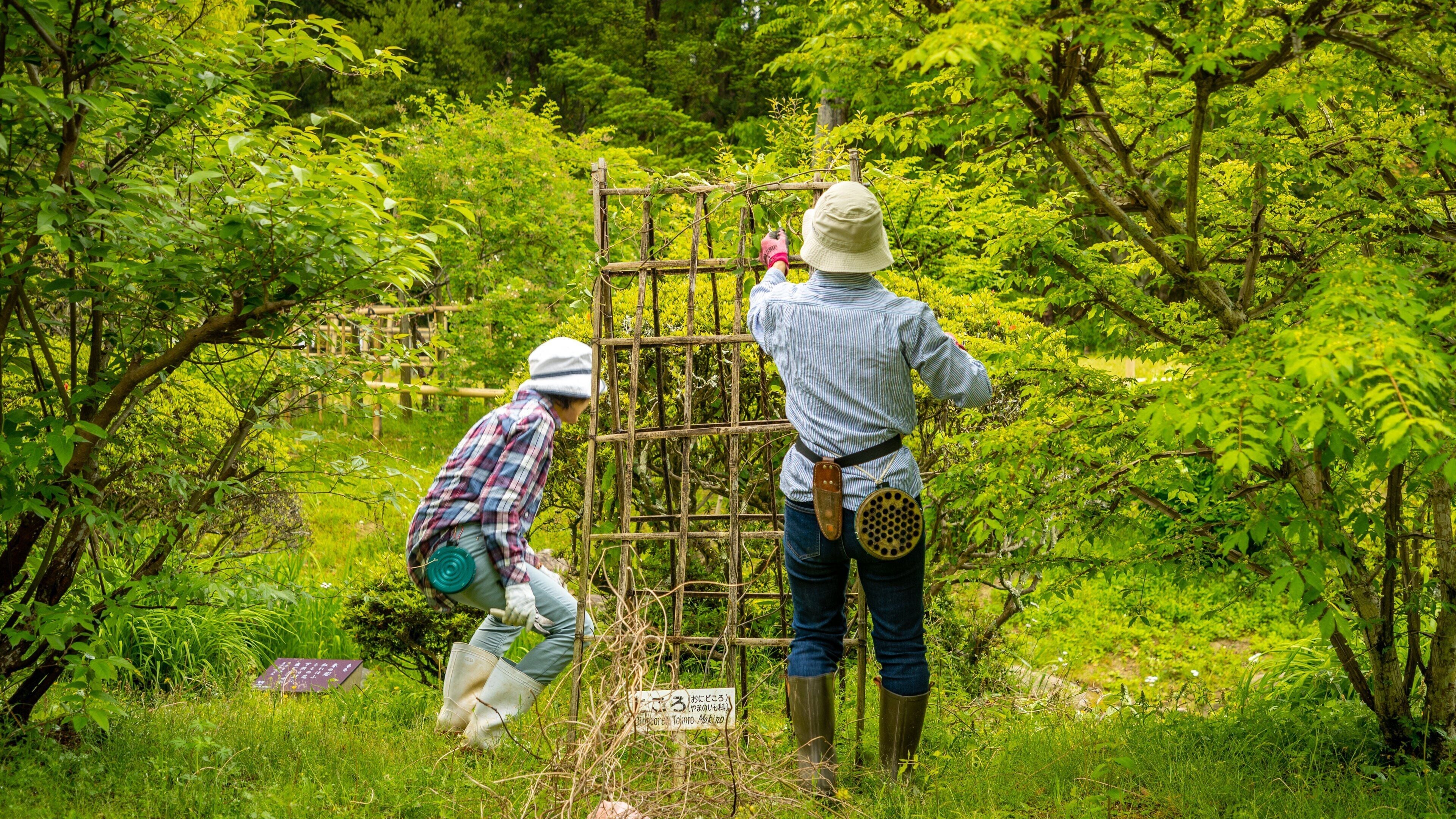 Manyo Botanical Garden which includes a park as well as a couple