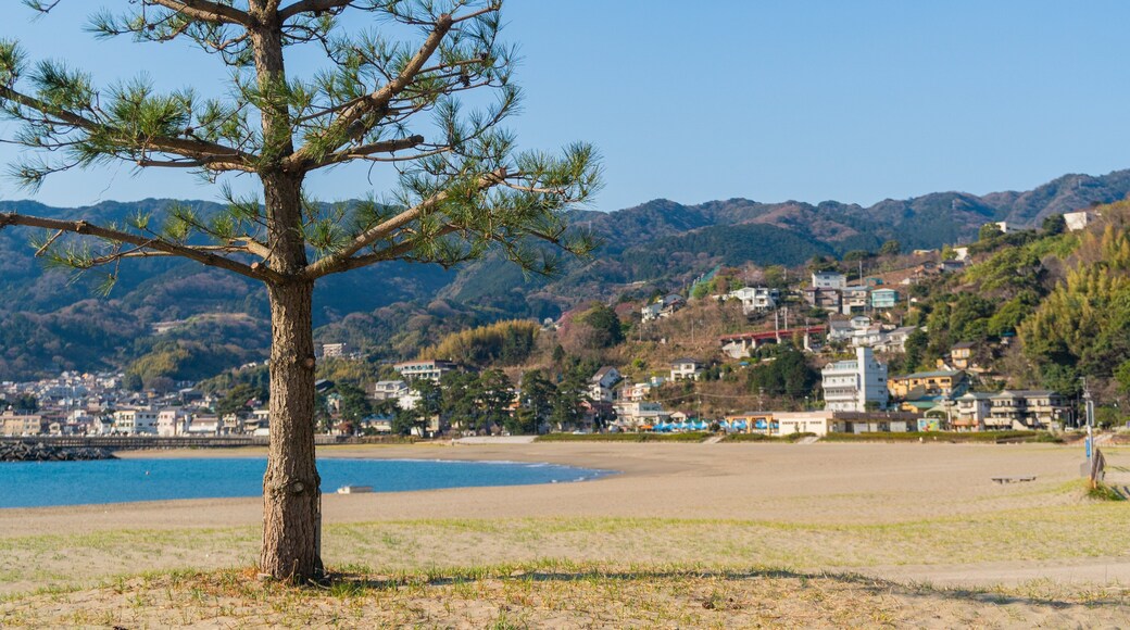 Nagahama Beach which includes general coastal views, a coastal town and a beach