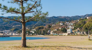 Nagahama Beach which includes general coastal views, a coastal town and a beach