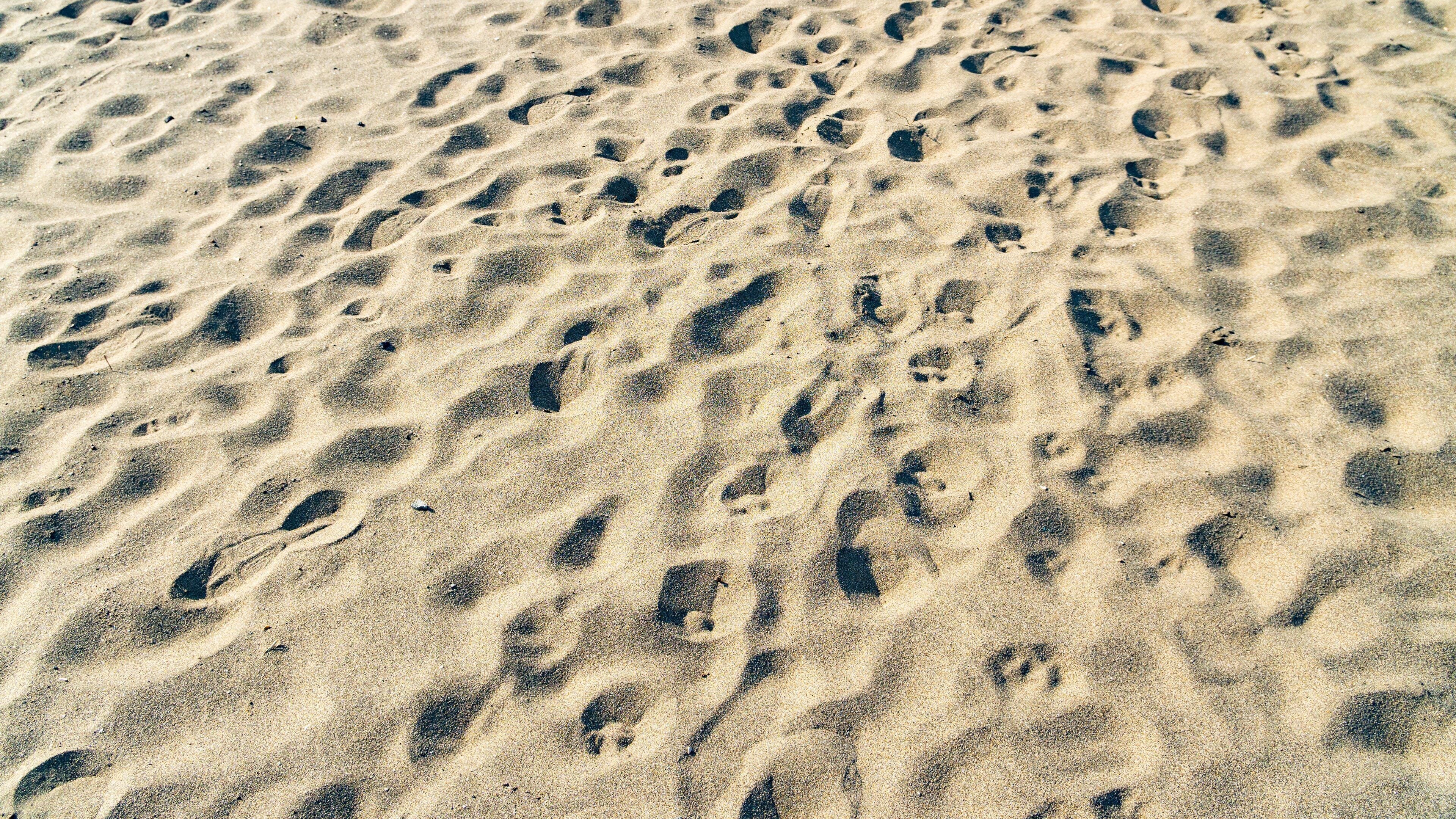 Nagahama Beach which includes a sandy beach