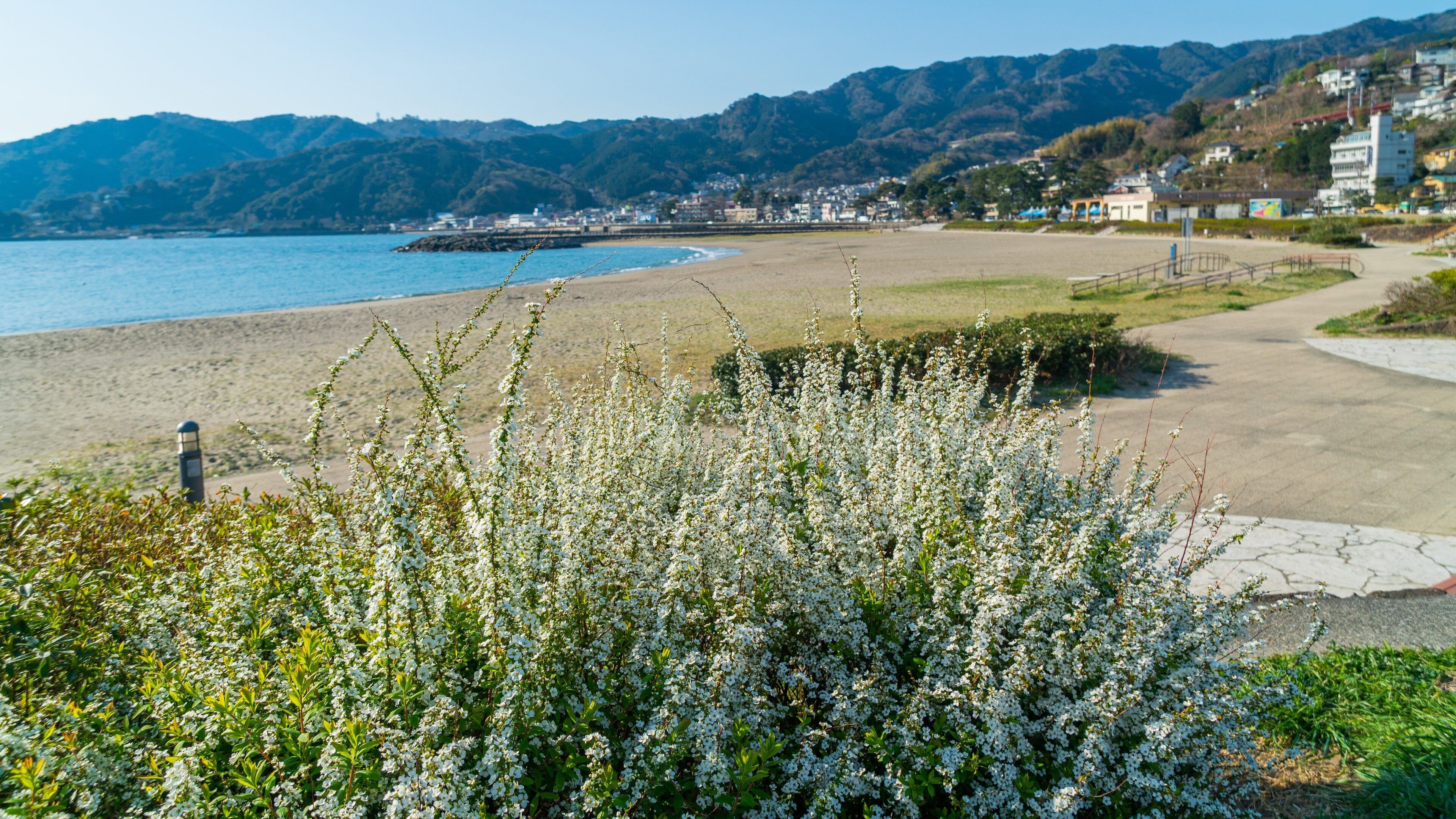 Nagahama Beach featuring general coastal views, a sandy beach and a coastal town
