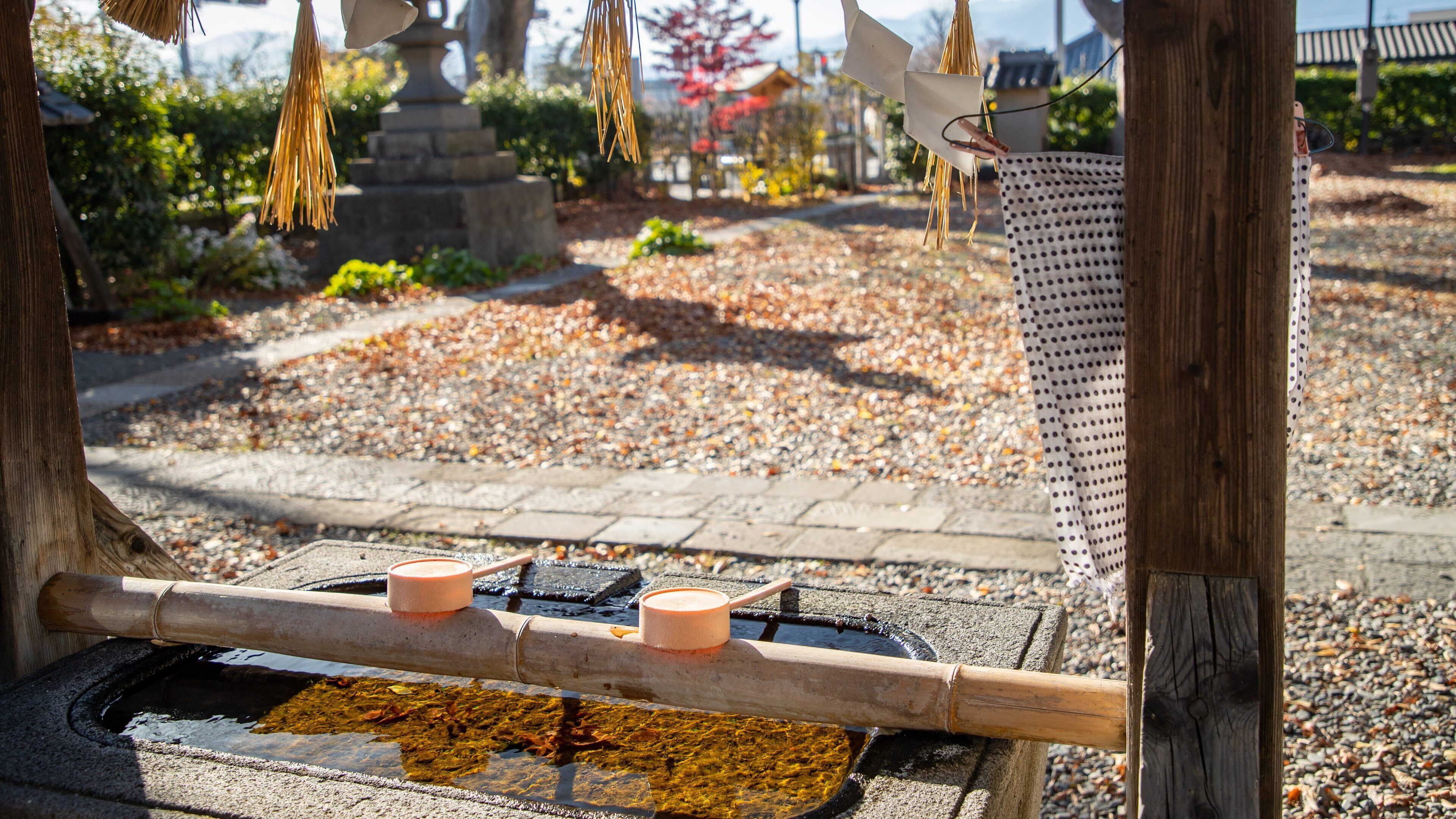 Matsumoto Shrine showing a temple or place of worship