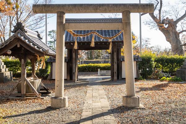 Un portail torii japonais traditionnel, avec une structure en bois à gauche et une lanterne en pierre à droite.