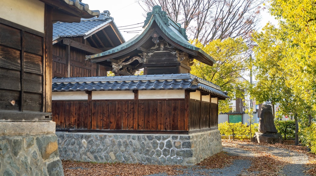 Matsumoto Shrine showing heritage elements and a temple or place of worship