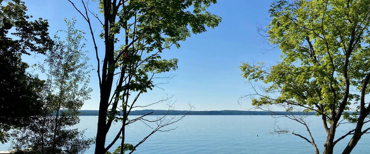 scenic view of trees on the lake