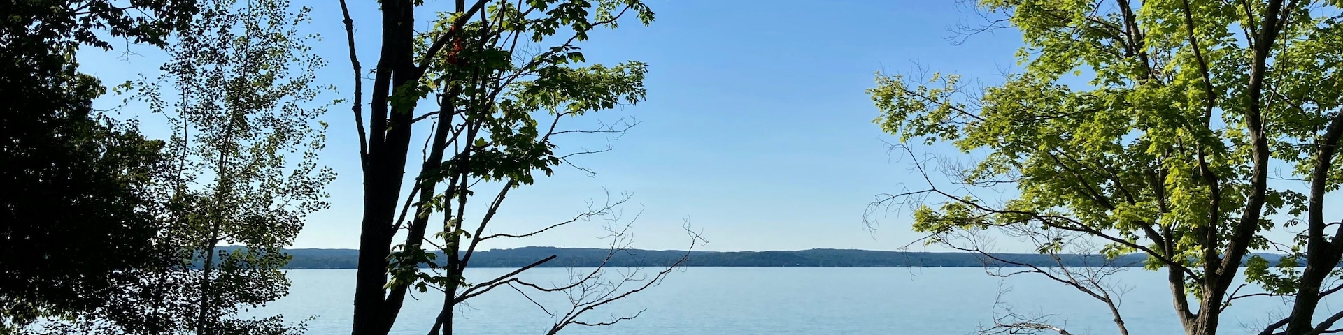 scenic view of trees on the lake