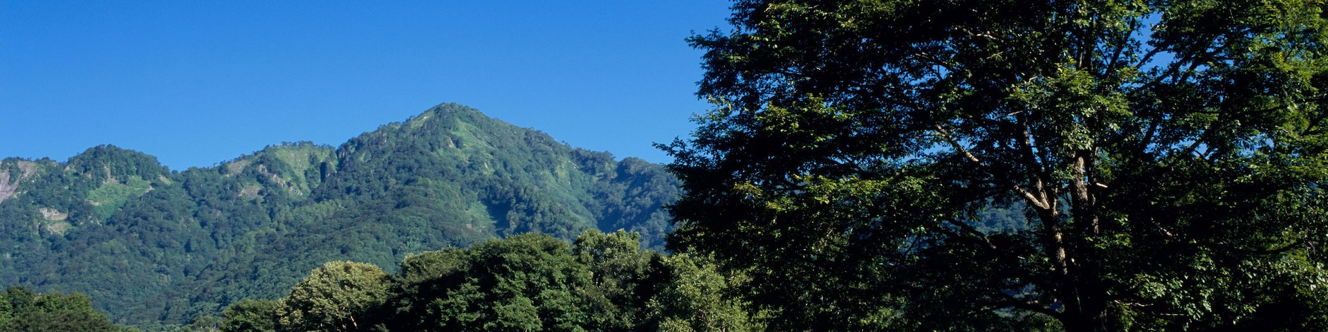 BGC75H Togakushi Farm, Nagano, Japan