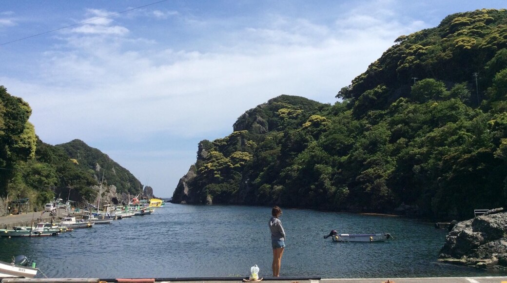 A little Japanese fishing port <3
#BeachTips