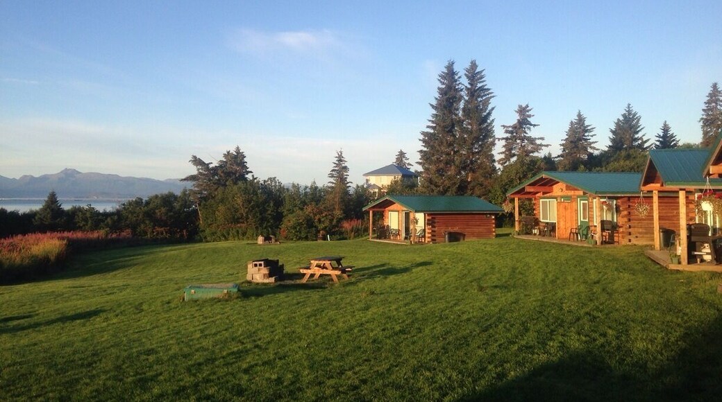 Gorgeous cabins in Homer with kitchenettes, fire pits and outdoor grills. There's even S'mores ingredients in the cabin. And if you get great weather like I had you can see the glacier across Katchemak Bay.