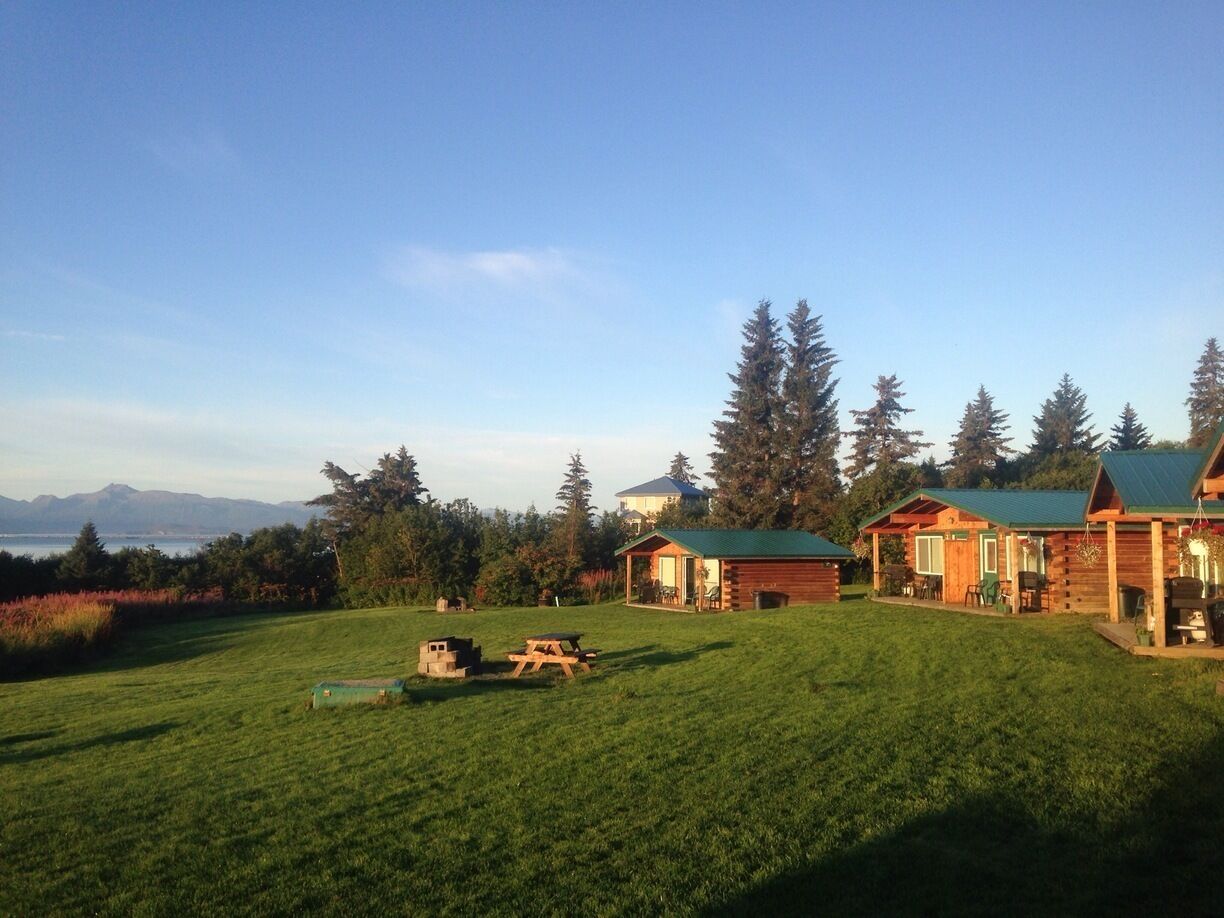 A log cabin with a green roof, a picnic table, and a grassy field with trees and mountains in the background.