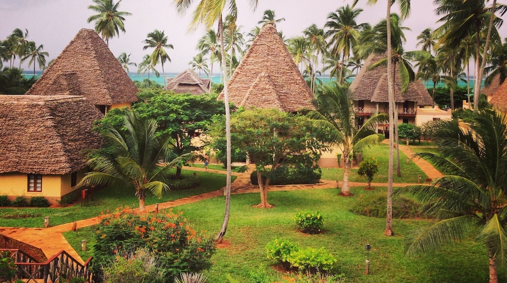 #zanzibar #tanzania