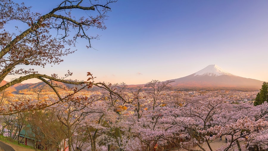 Mountain Fuji and Chureito pagoda with cherry blossom