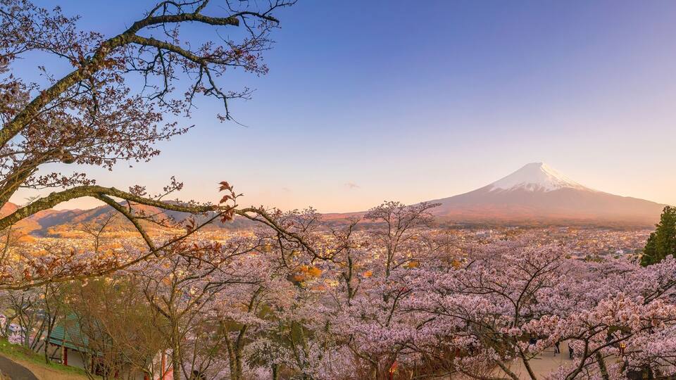Mountain Fuji and Chureito pagoda with cherry blossom