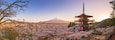 Mountain Fuji and Chureito pagoda with cherry blossom