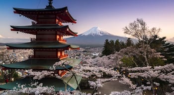 Beautiful view of Mountain Fuji and Chureito Pagoda with cherry blossom in spring, Fujiyoshida, Japan