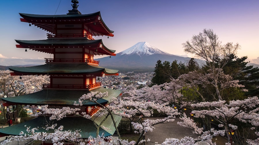 Beautiful view of Mountain Fuji and Chureito Pagoda with cherry blossom in spring, Fujiyoshida, Japan