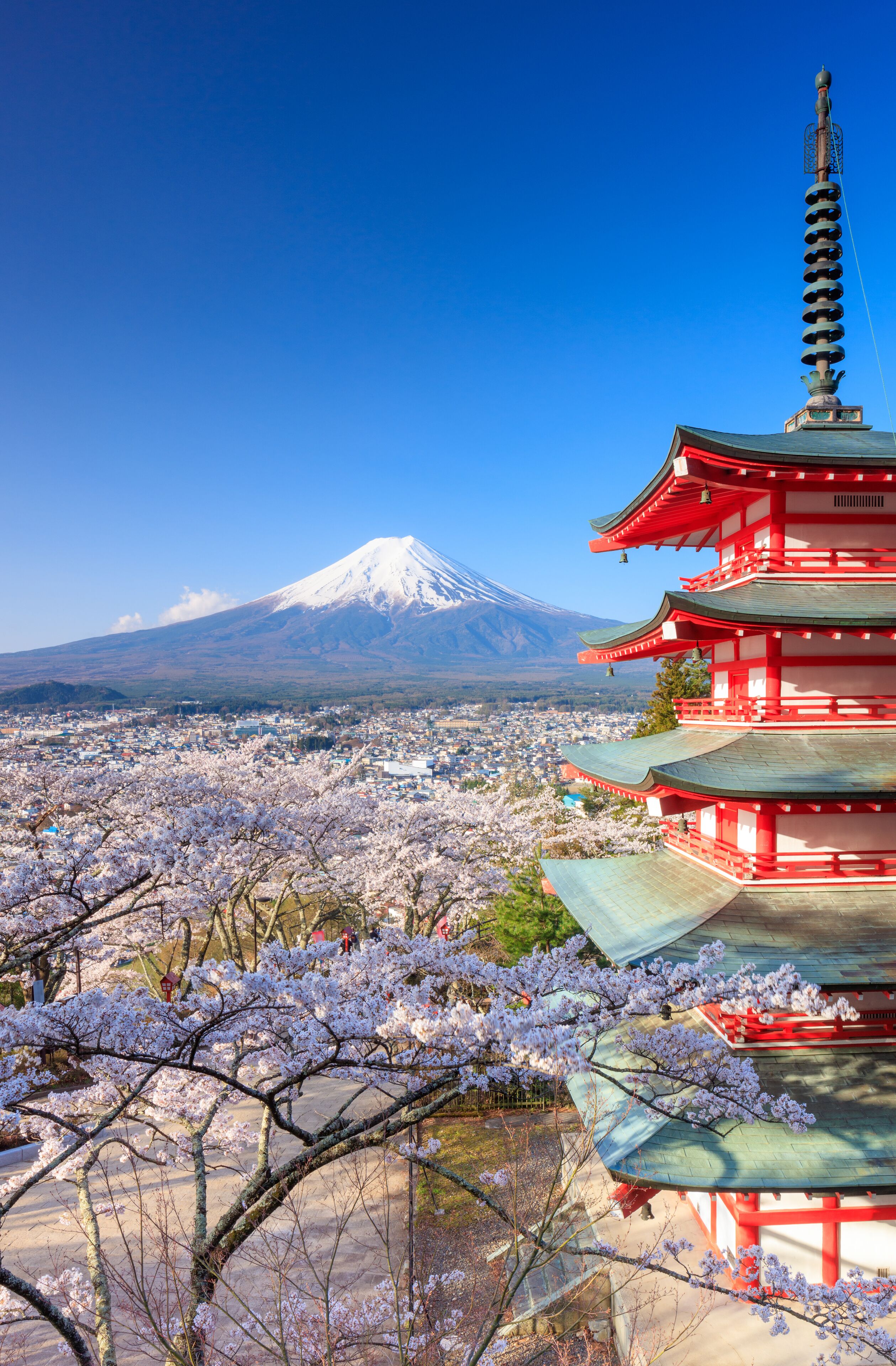 Mt. Fuji with Chureito Pagoda in Spring, Fujiyoshida, Japan; Shutterstock ID 429029755