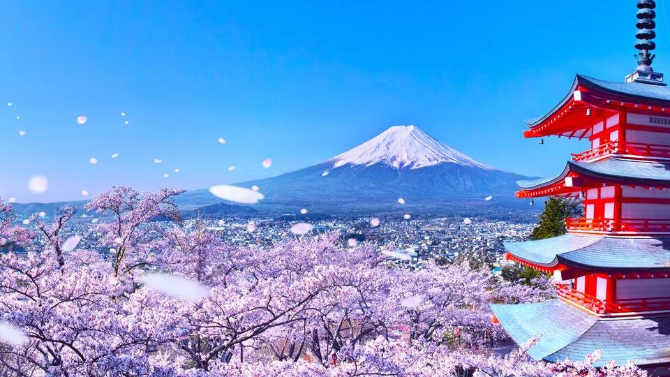 桜吹雪舞う新倉山浅間公園内の五重塔と富士山