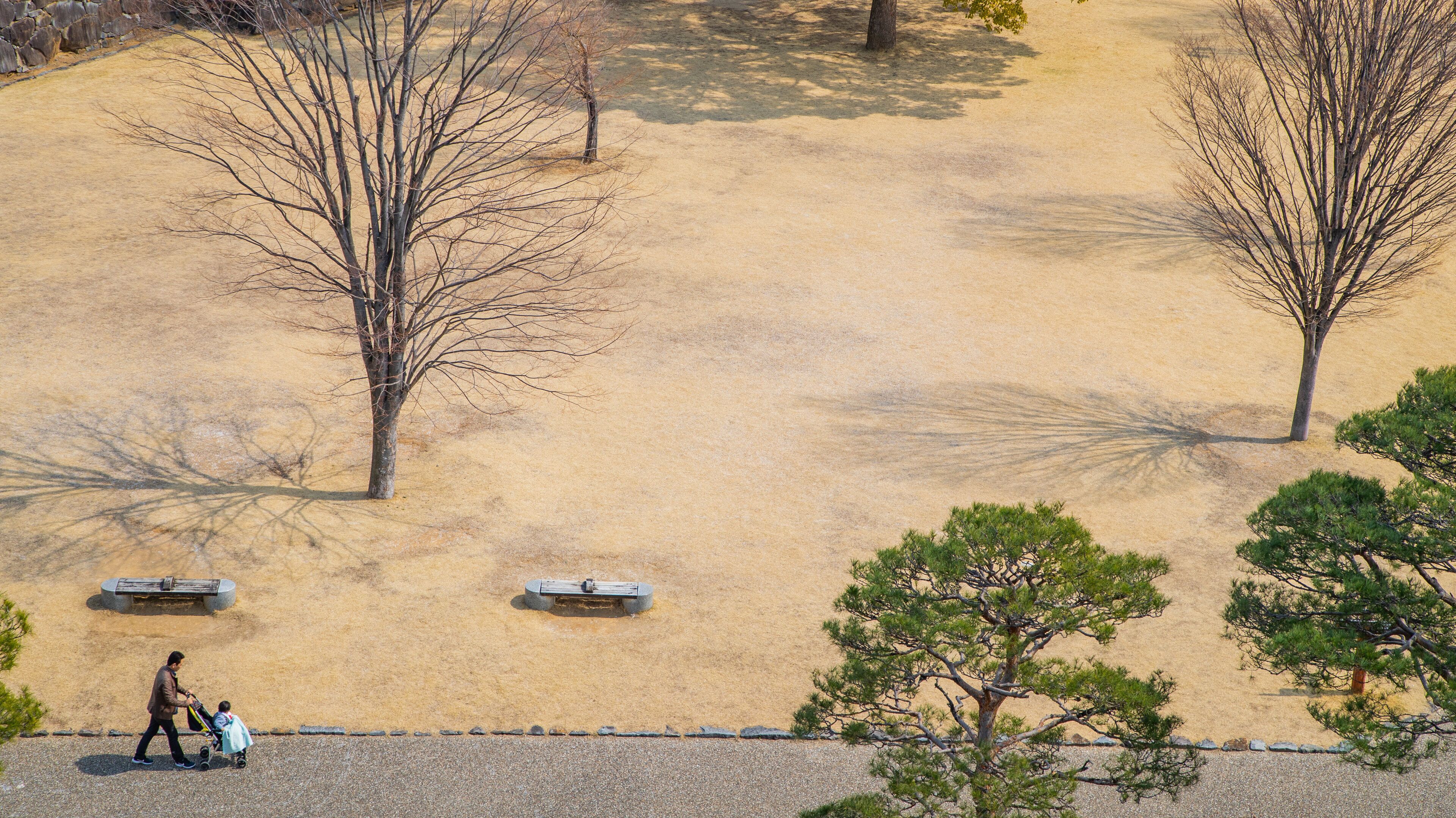 Maizurujo Park showing a park as well as a family