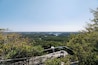 Vista panorámica de un valle fluvial con bosque denso y el horizonte lejano de una ciudad.