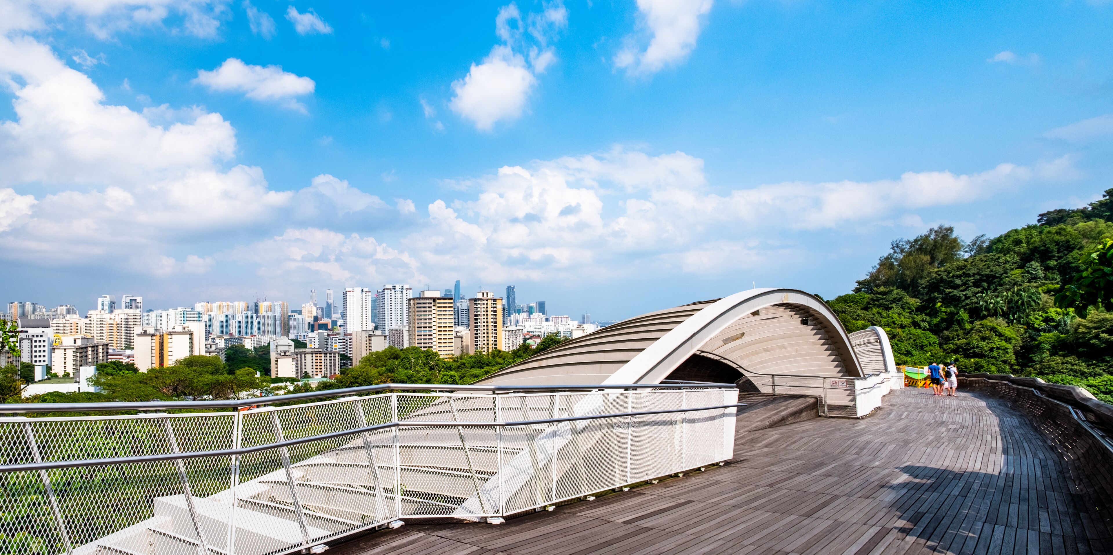 Henderson Waves Bridge