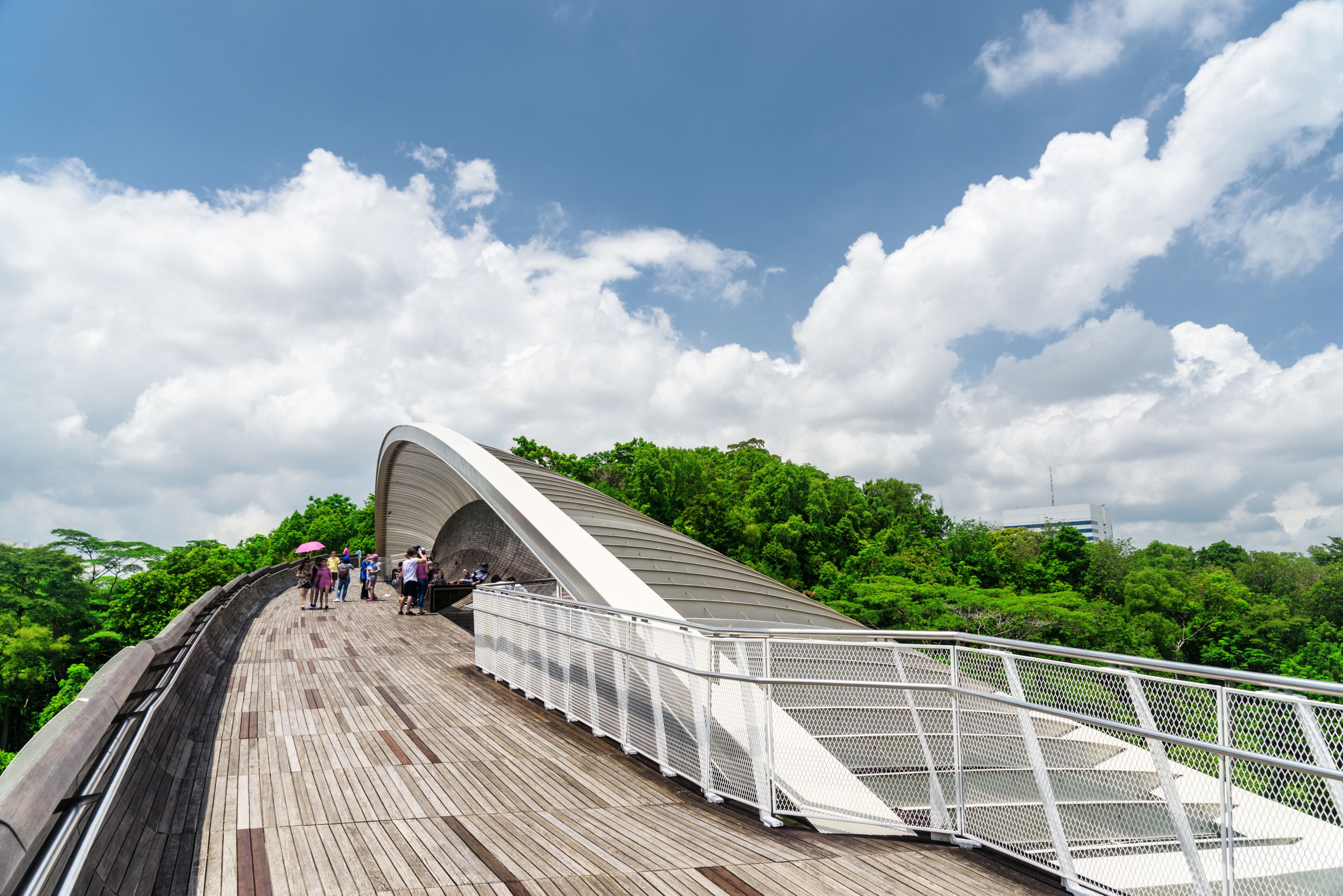 Henderson Waves-Brücke
