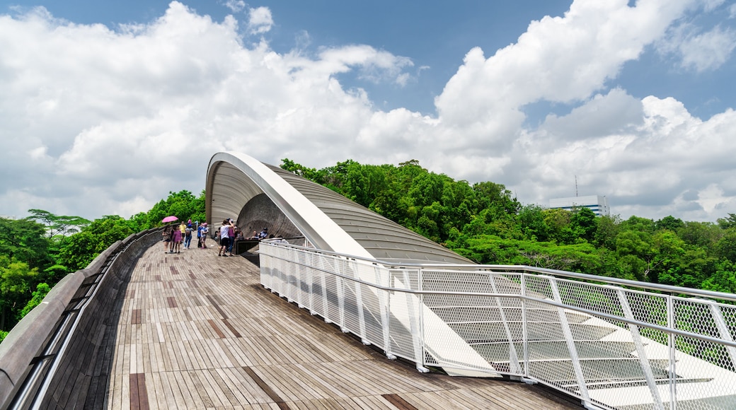 Amazing bridge imitating a wave in Singapore. Wooden walkway