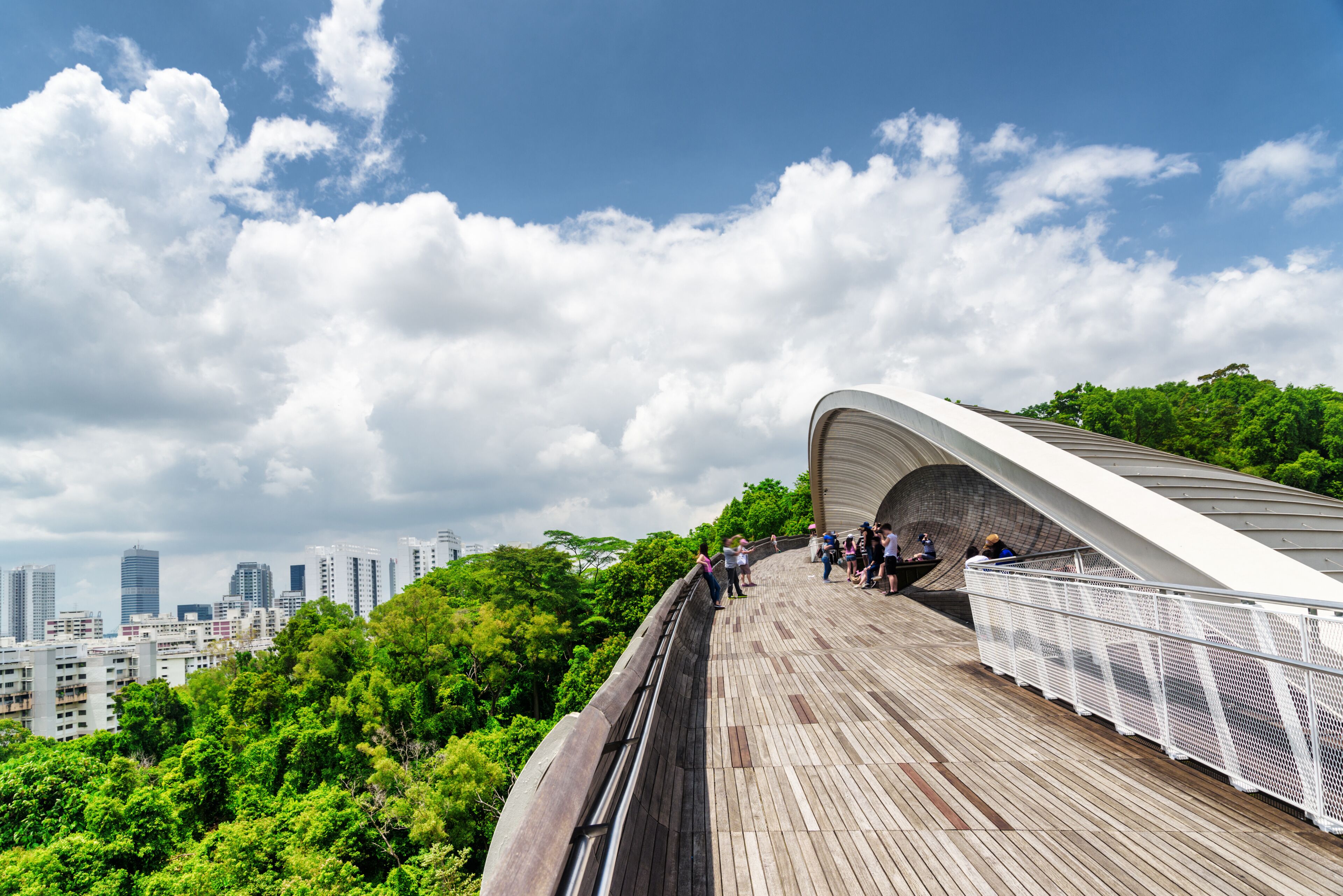 Bridge imitating wave. Wooden walkway leading to park. Singapore