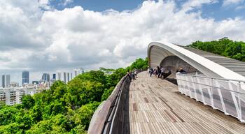Bridge imitating wave. Wooden walkway leading to park. Singapore