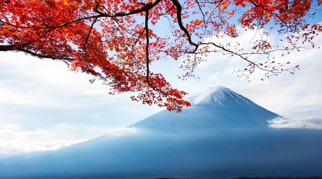 Museo de Juguetes Happy Days de Kitahara en el Lago Kawaguchi