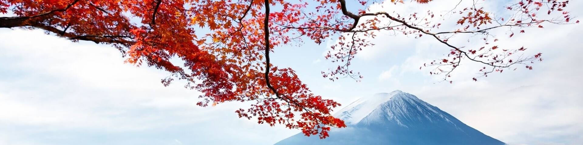 Mt. Fuji in autumn. Kawaguchiko Lake, Japan. 500px 116256759