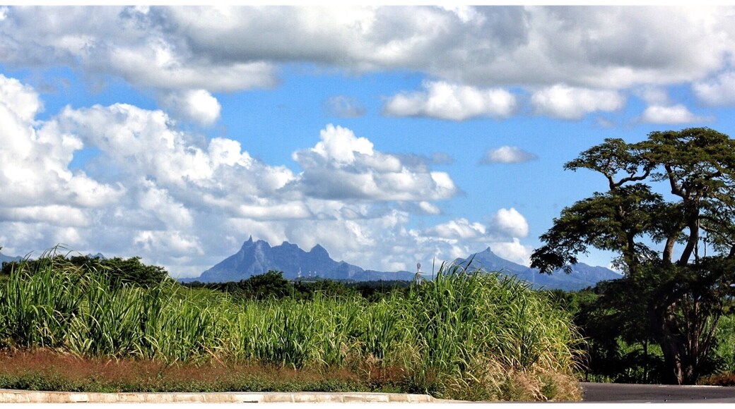 View to the south of island