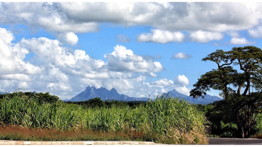 View to the south of island