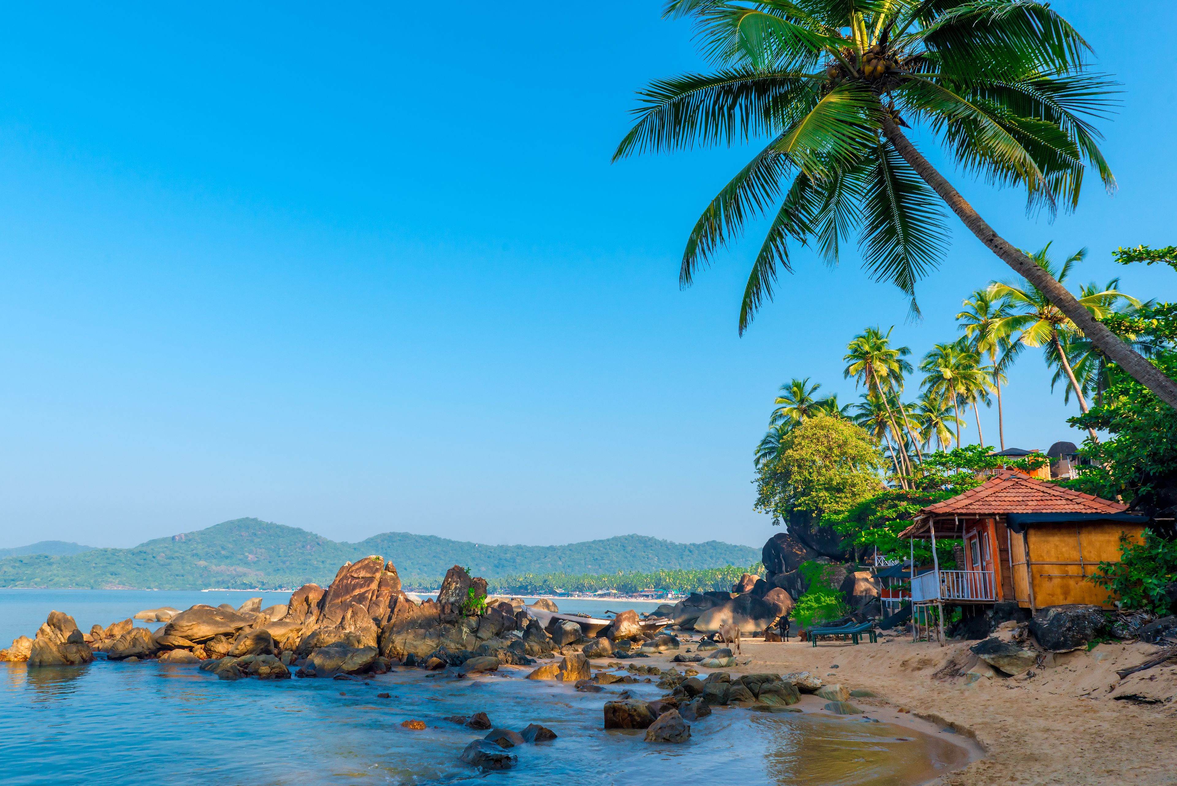 A tropical beach with palm trees, a rocky shoreline, and a small hut.