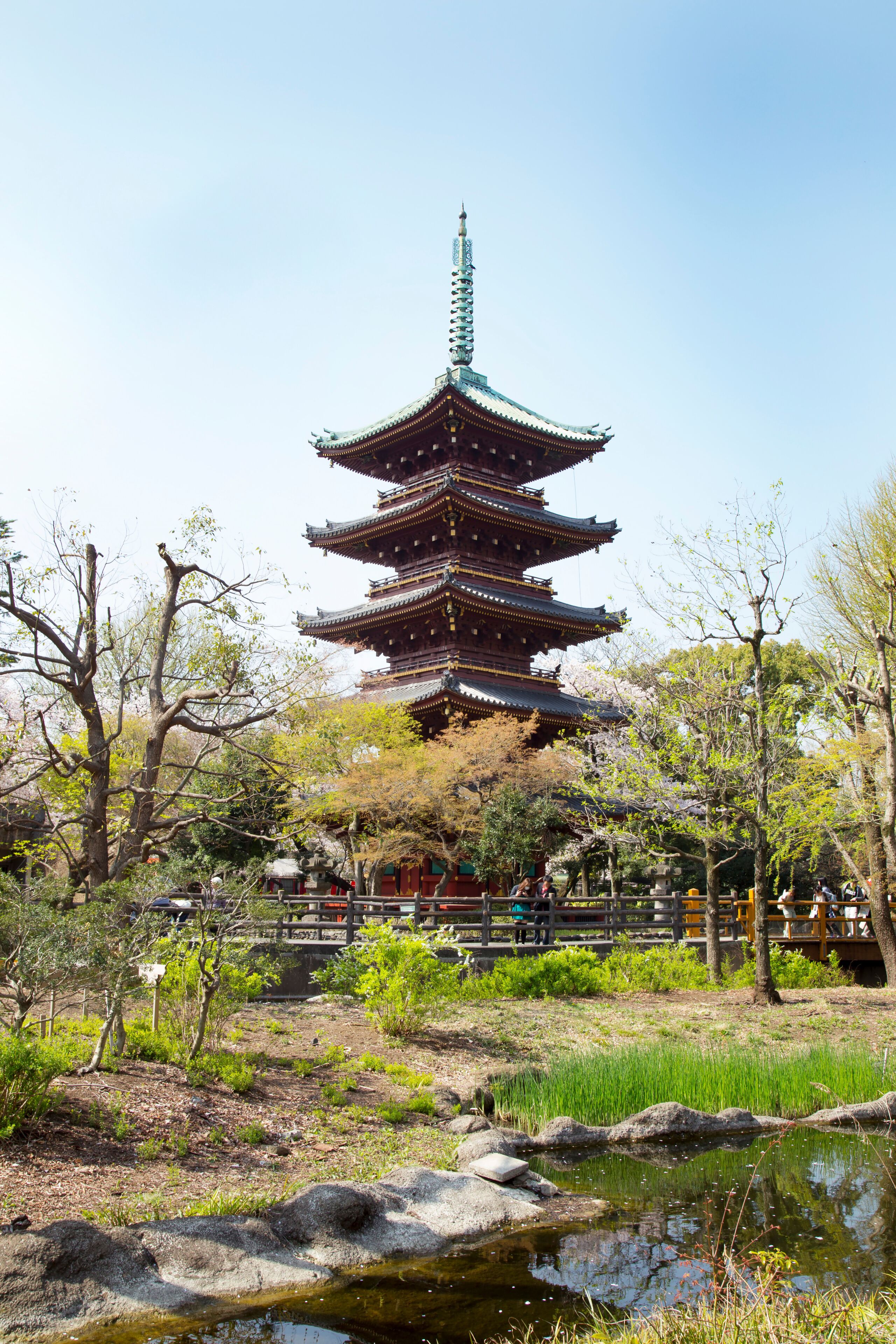 上野の五重塔と桜