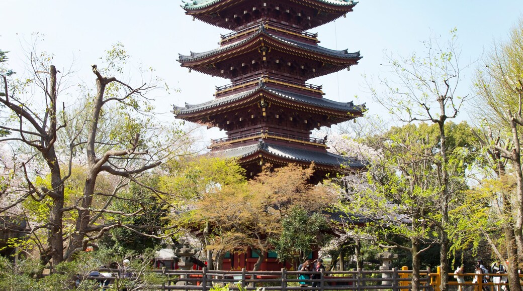 上野の五重塔と桜