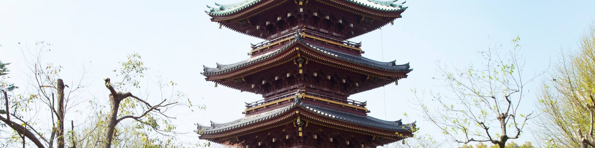 上野の五重塔と桜
