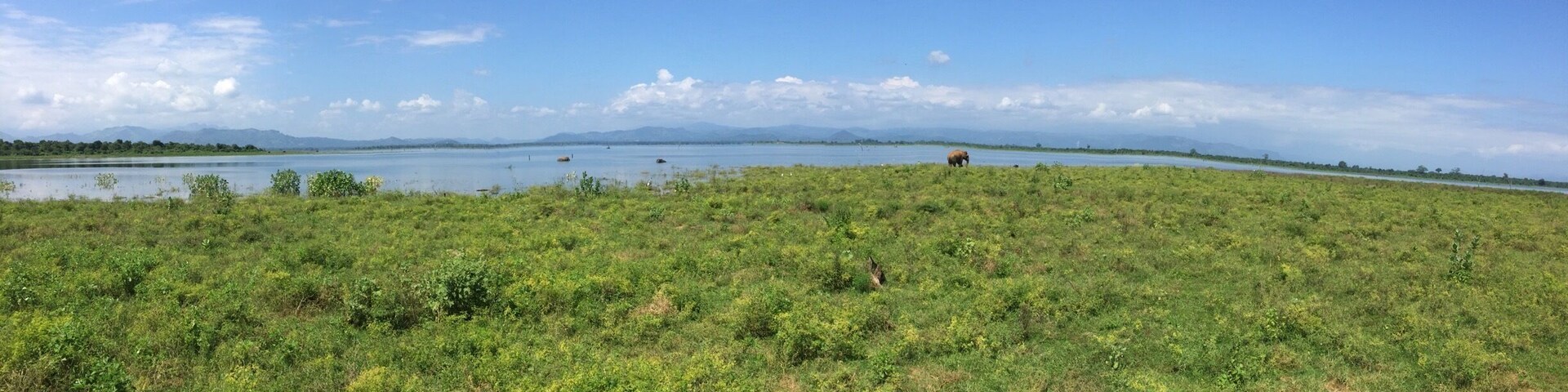 Sri Lanka