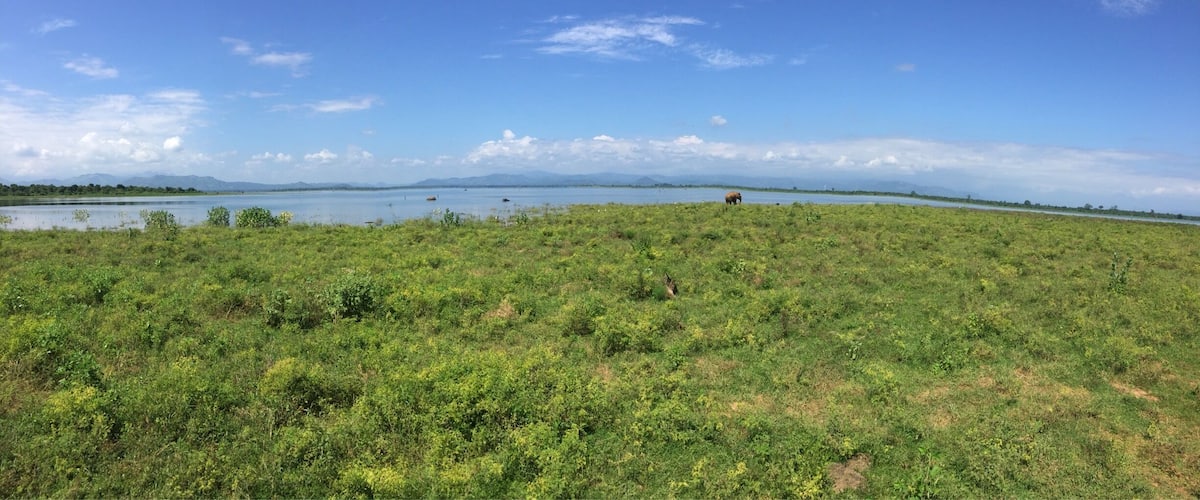 A grassy field with a body of water and distant mountains.