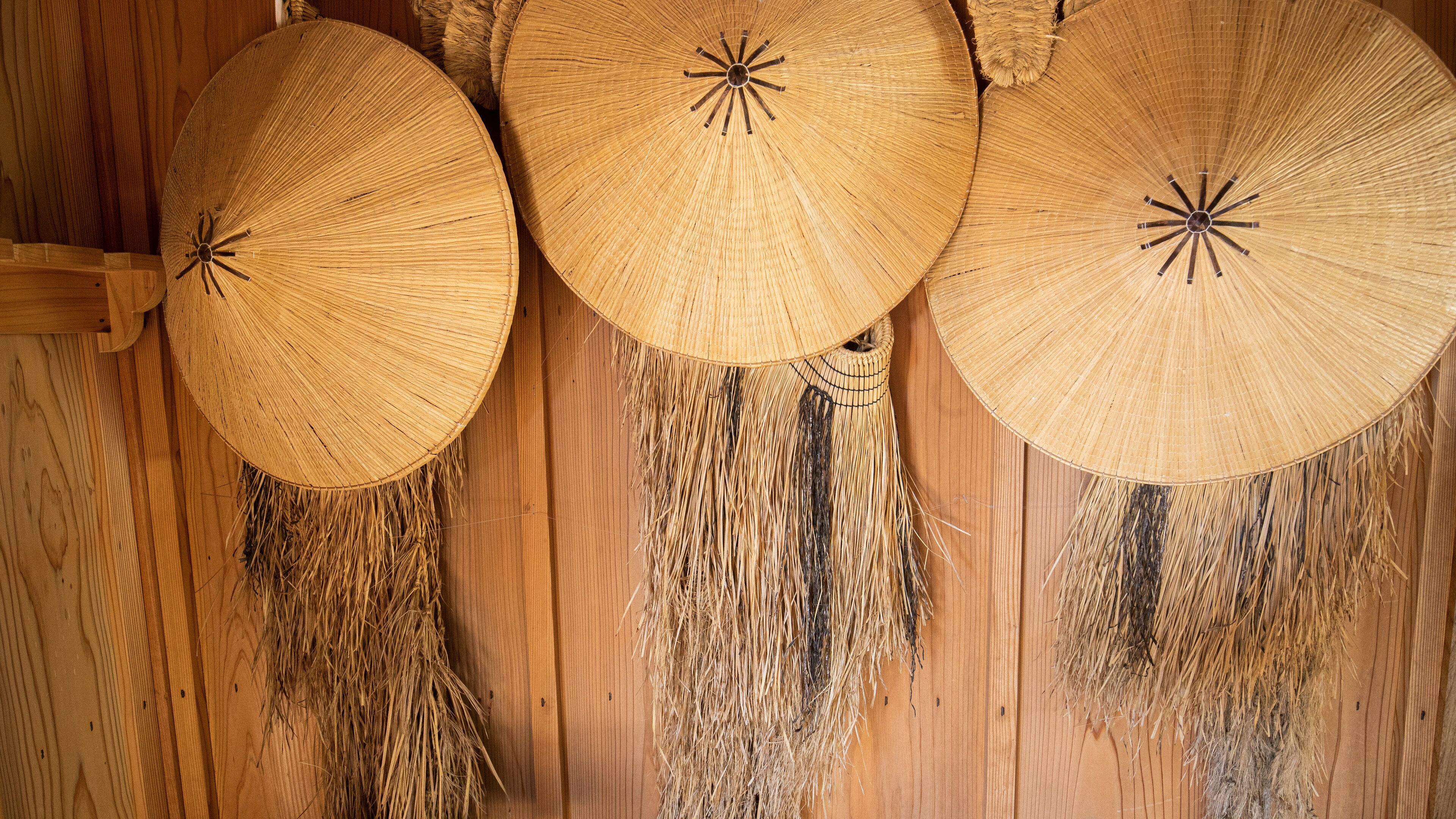 Hakone Checkpoint Museum showing heritage elements