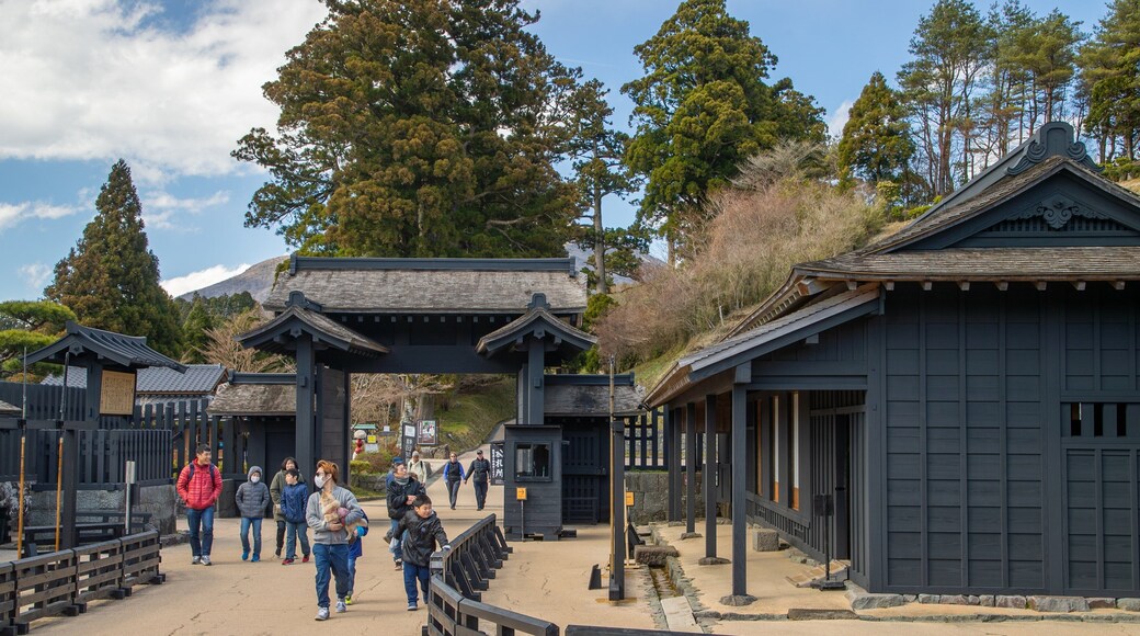 Hakone Checkpoint Museum which includes street scenes