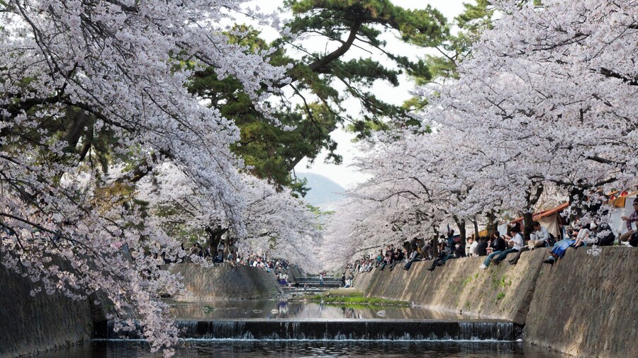 Parc Shukugawa Kasenshiki Ryokuchi