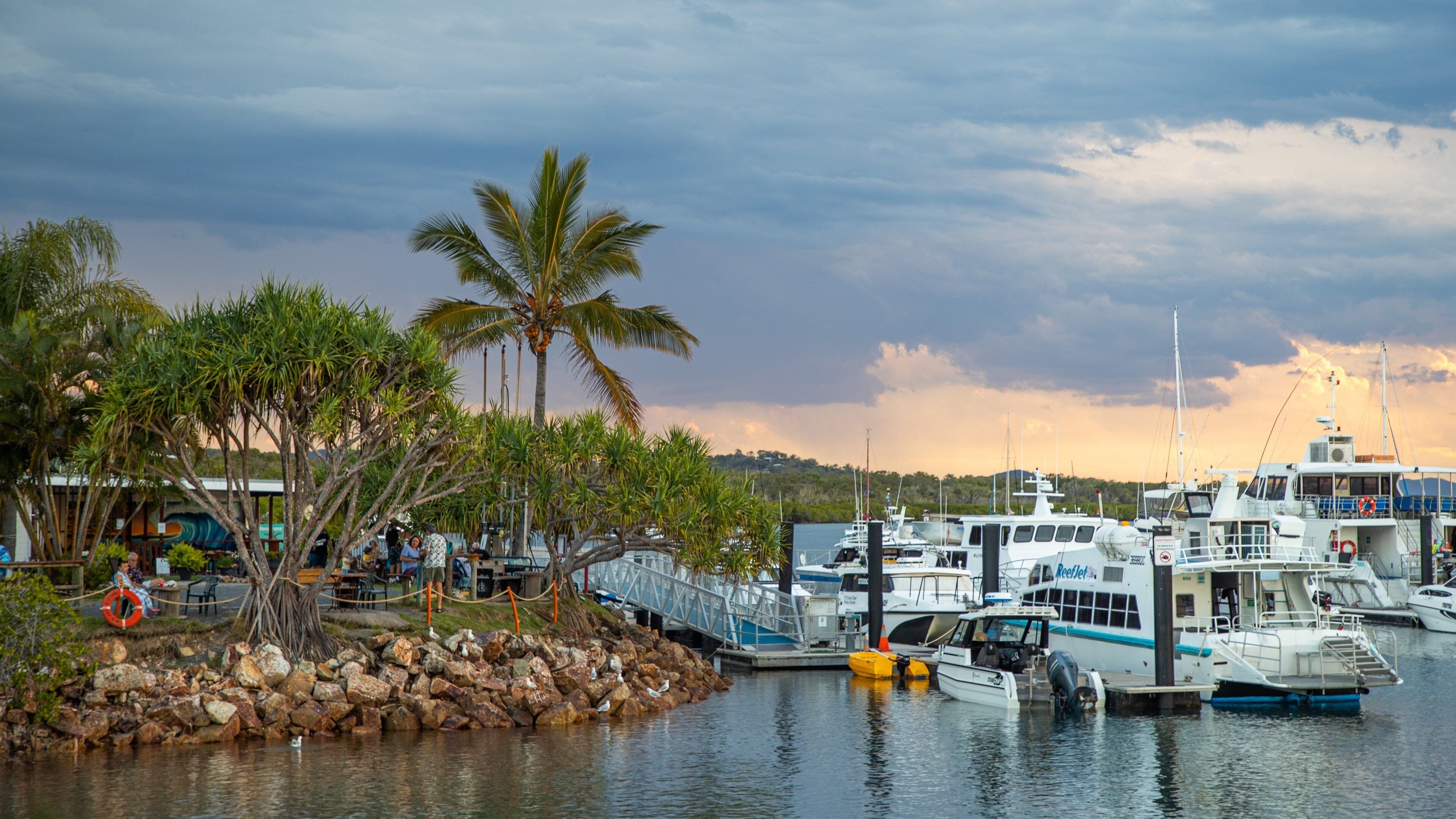 1770 Marina showing a sunset and a bay or harbor